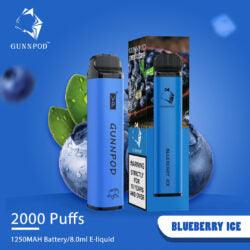 BLUEBERRY ICE - 2000 PUFFS